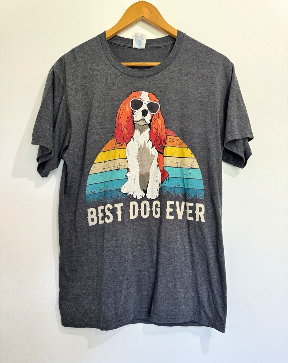 Port & Company Fan Favorite Best Dog Ever Graphic Tee Gray Men's L #1107